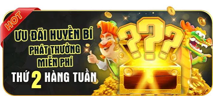 Biểu ngữ hoàn trả cược thể thao hàng ngày